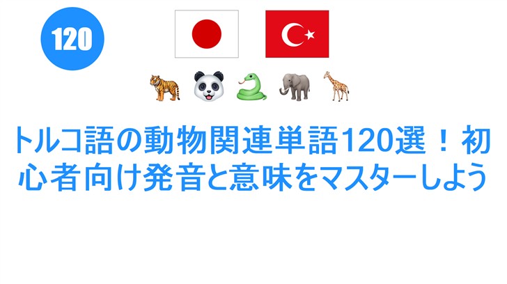トルコ語の動物関連単語120選！初心者向け発音と意味をマスターしよう